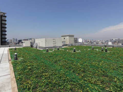 28-2020038-0281 (2)
